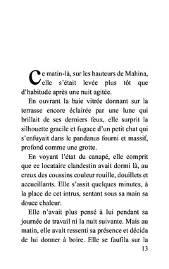 Maeva et le chat Pirate et autres Contes