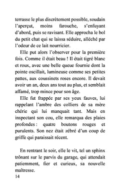 Maeva et le chat Pirate et autres Contes