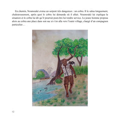Les aventures de Noumoukè