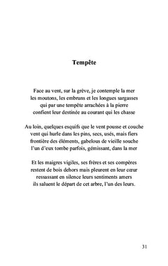 Quelque part,une vague...