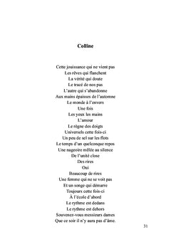 Les 101 Dalmatiens de Julien