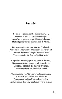 Journal d'un rêveur