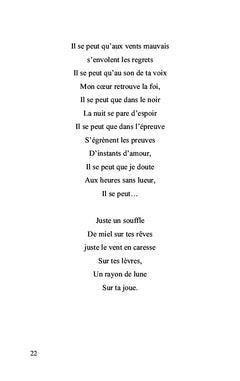 Gouttes de mots