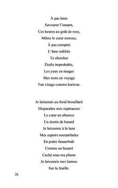 Gouttes de mots