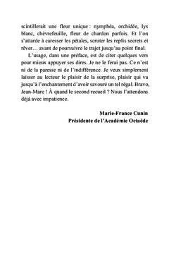 Les lunettes cassées