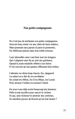 Les lunettes cassées