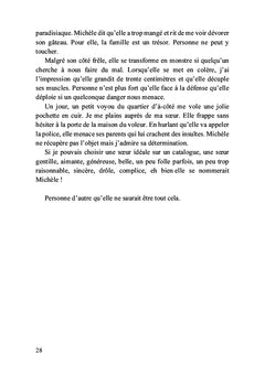 Les sacoches de la mobylette bleue