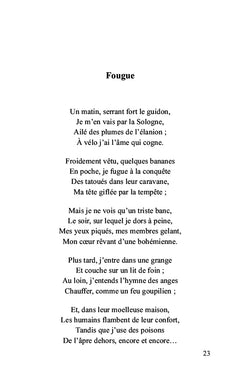 L'ombre d'or