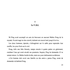 Les histoires étonnantes et rebondissantes de M. Ping