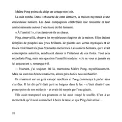 Les histoires étonnantes et rebondissantes de M. Ping