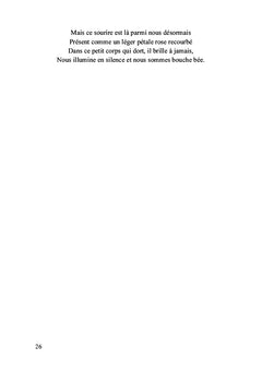 Les détours du prisme