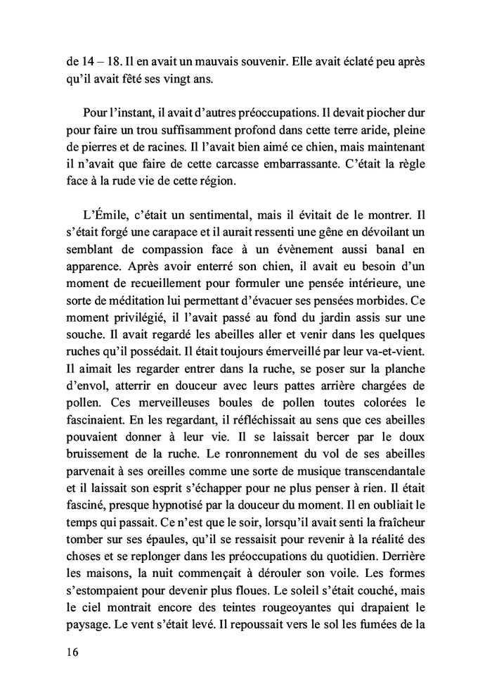 Emile et les abeilles