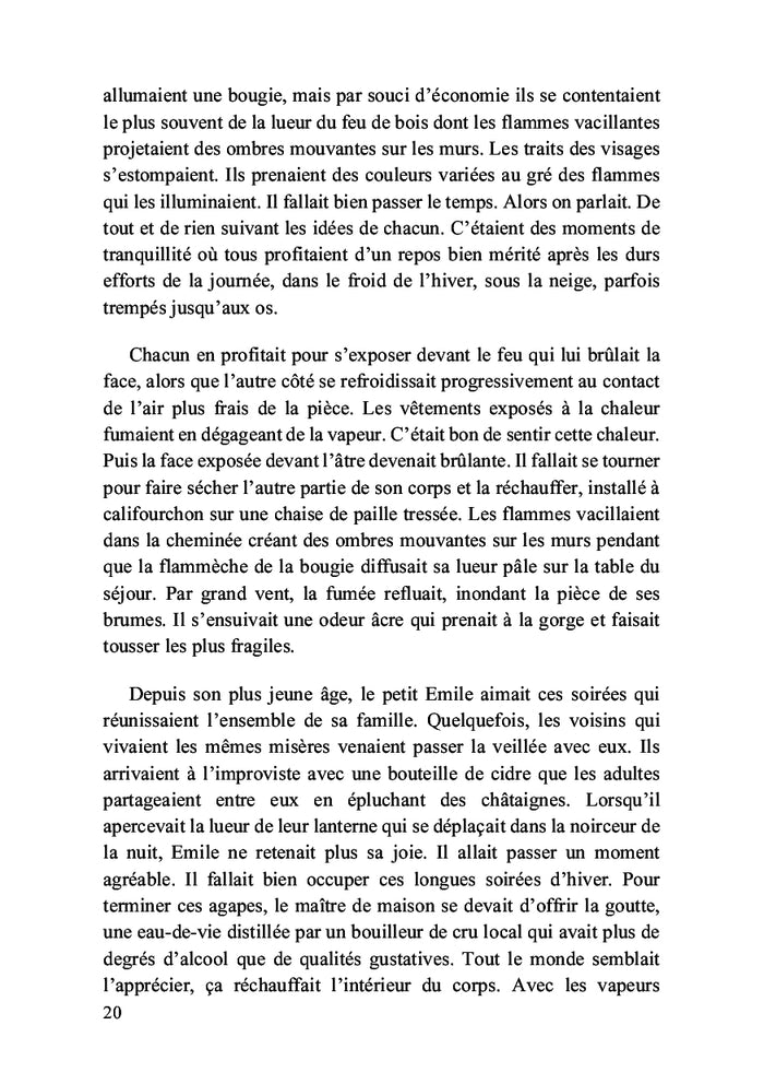 Emile et les abeilles