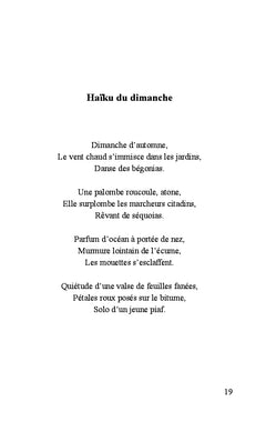 Le porteur de voix