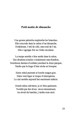Le porteur de voix