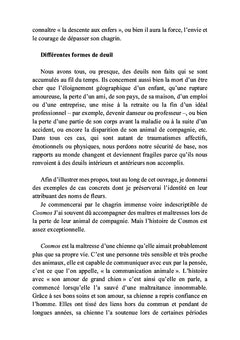 Le cadeau caché