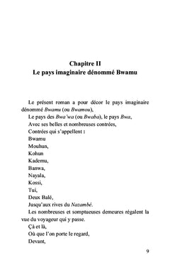 Histoires irrévérencieuses d'un parcours initiatique dans le Bwamu