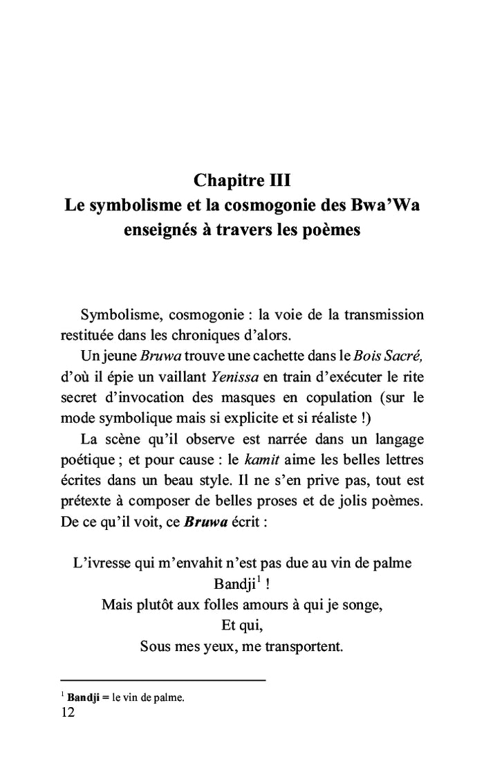 Histoires irrévérencieuses d'un parcours initiatique dans le Bwamu
