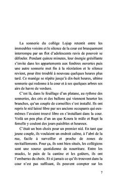 Les aventures de Koura