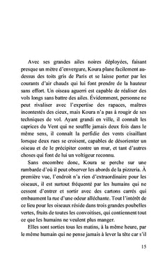 Les aventures de Koura
