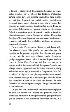 Les aventures de Koura