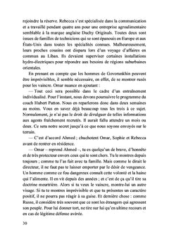 Le renard des terres brûlées