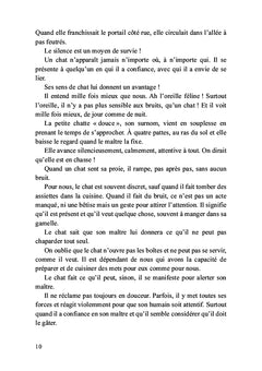 Léo, mon petit chat doré