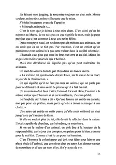 Léo, mon petit chat doré