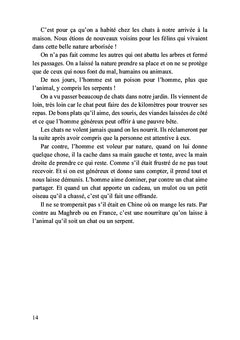 Léo, mon petit chat doré