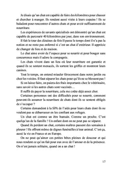 Léo, mon petit chat doré