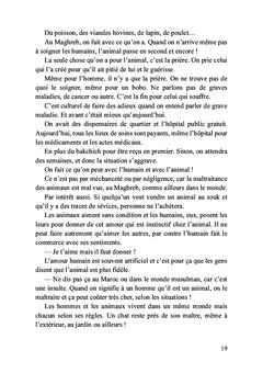 Léo, mon petit chat doré