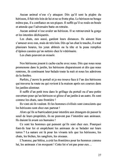 Léo, mon petit chat doré