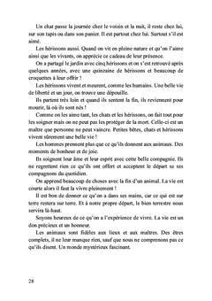 Léo, mon petit chat doré