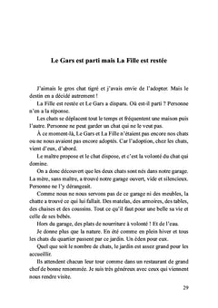 Léo, mon petit chat doré