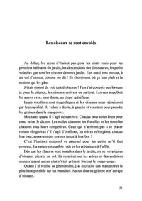 Léo, mon petit chat doré