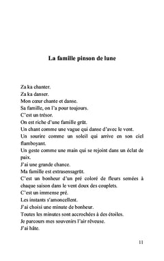 Les soleils. Les instants de vie tricolore