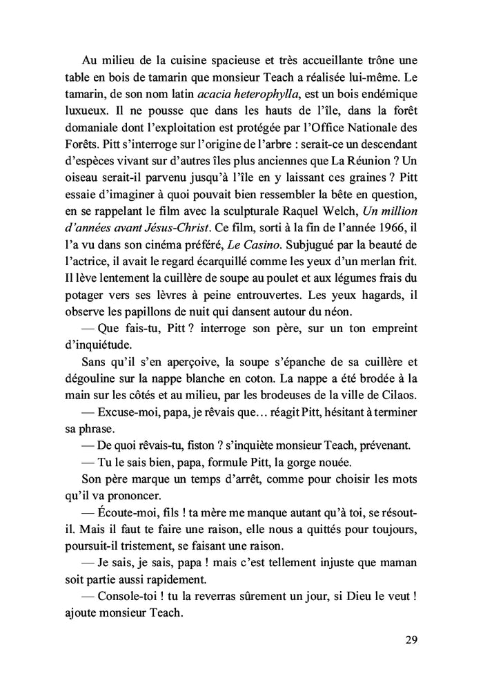 Pitt contre les pirates de l'île Bonaparte