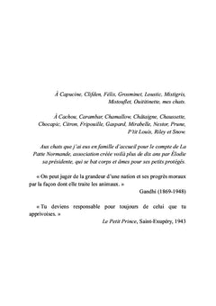 Main dans la patte