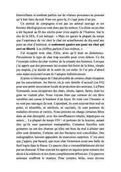 Main dans la patte