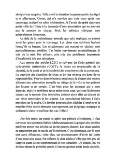 Main dans la patte