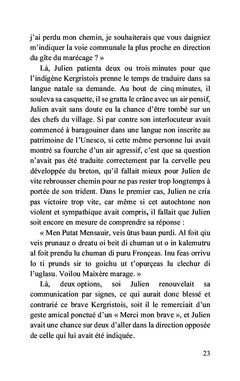 Julien - le druide du marais