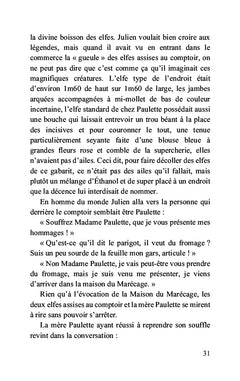 Julien - le druide du marais