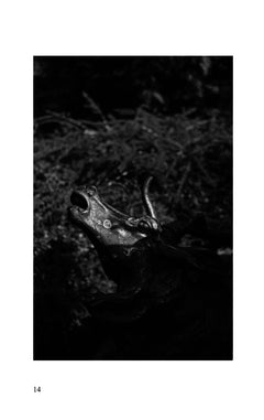 Prose/Pose