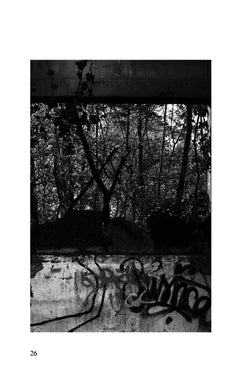 Prose/Pose