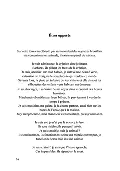 La genèse d'un univers