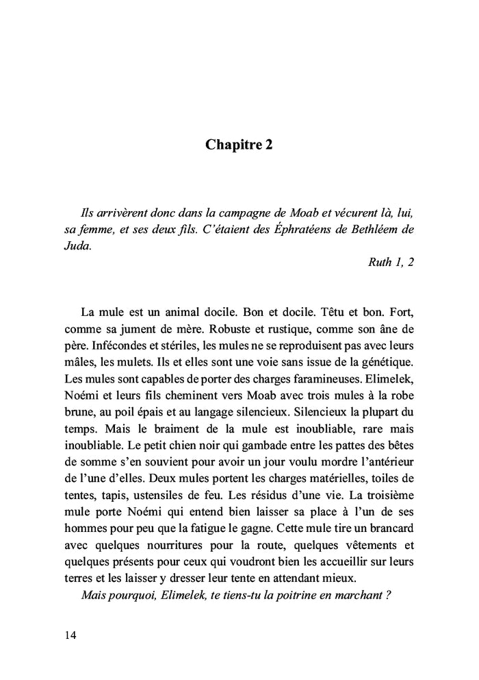 Ruth, la glaneuse de Dieu