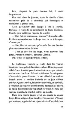Dans les brumes du Mercantour