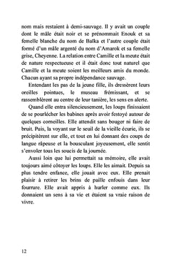 Dans les brumes du Mercantour