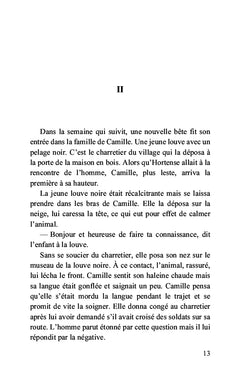 Dans les brumes du Mercantour