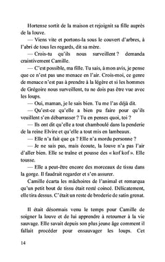 Dans les brumes du Mercantour
